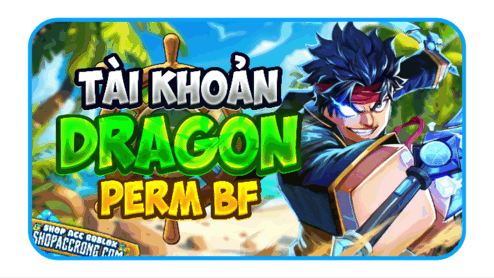 ACC DRAGON PERM